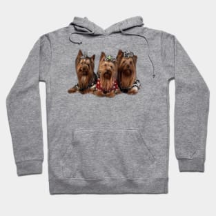 Three Pet love Hoodie